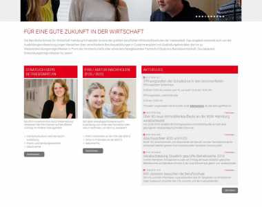 Custom developed system for schule fur wirtschaft hamburg